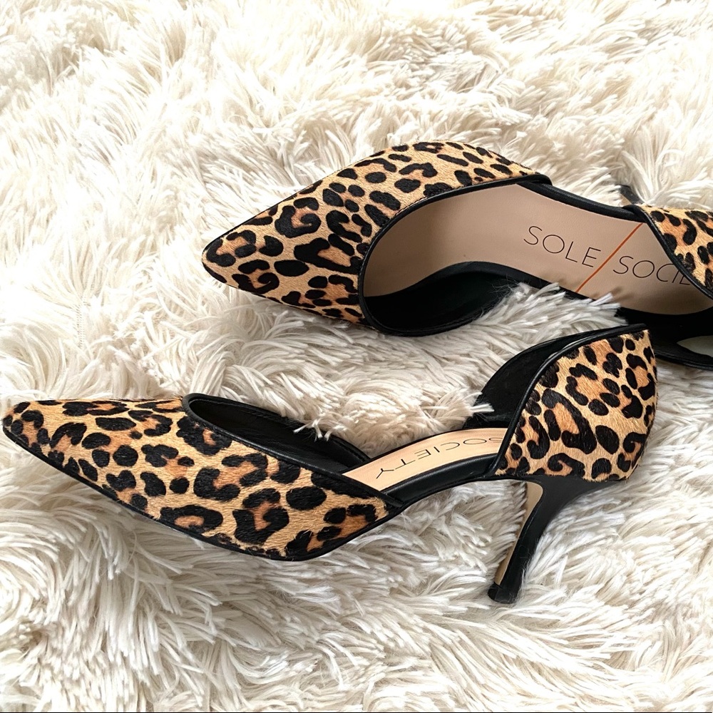Sole Society Leopard Print Pointed Toe Kitten Heels